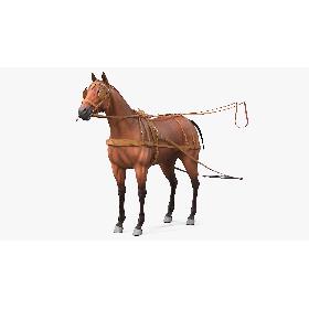 3D Horse Leather Single Driving Harness model